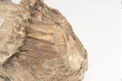 Etikett zu Bronzepickelspitze (NHMW-PRAE-073325)